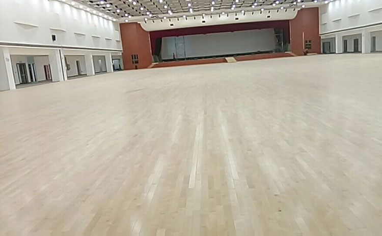 佛羅倫薩對烏迪內斯